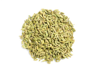 Spice Fennel (Foeniculum vulgare) on a white background