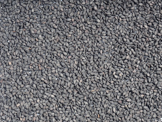 Spice black sesame (Sesamum) as background. Close up