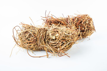 Dried chicken bone grass on white background