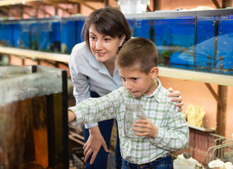 Obraz premium Boy with mother choosing fish