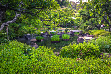 Kamakura - June 06, 2019: The gardens of Hasedera temple in Kamakura, Japan