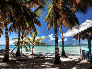 A relaxing shady part of a Caribbean beach showing azure sea deep blue sky and cooling palm trees. 