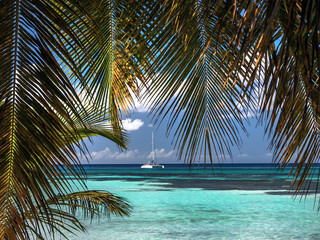 Relaxation in the Caribbean with the azure sea and palms a catamaran framed by palm leaves in the far distance sailing in the Caribbean waters 