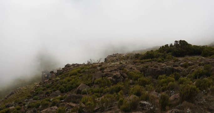 landscape of the Ethiopian Bale Mountains National Park. Ethiopia wilderness pure nature. Sunny day with blue sky most and clouds.