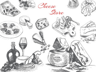 Vector illustration sketch - cheese. provolone, cheddar, edam, Parmigiano, cheddar, parmesan, camembert, brie, mozzarella