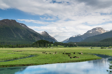 Lake in the mountains. Alpine landscape in summer 