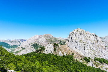 Fototapeta na wymiar mountain with limestone rock and forest