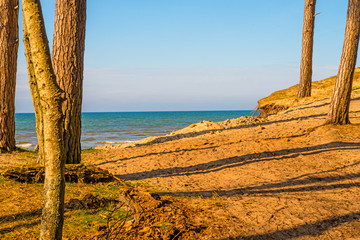 beach of the Baltic sea with dunes and trees