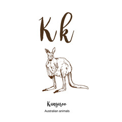 Kangaroo, A to z, alphabet sketch australian animals drawing vector illustration. Vintage hand drawn with lettering. Ready for print. Letter K for kangaroo. ABC.
