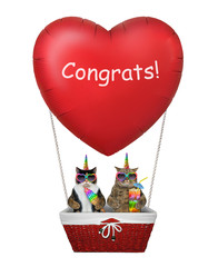 The couple of cats unicorn in love are flying in a red heart hot air balloon. Congrats . White background. Isolated.