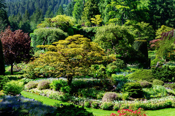 Beautiful  Natural Landscape Gardens in Springtime,Victoria, British Columbia