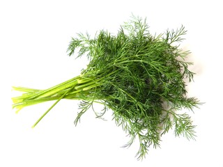 A bunch of fresh green dill. Photos of dill close-up.