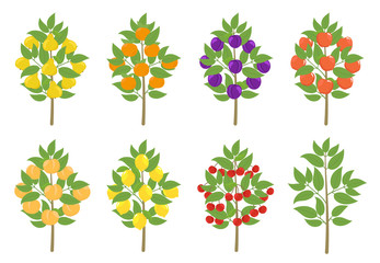 Fruit tree set. Apple, peach and lemon mandarin. Vector illustration. Fruit Orchard trees plant harvest.