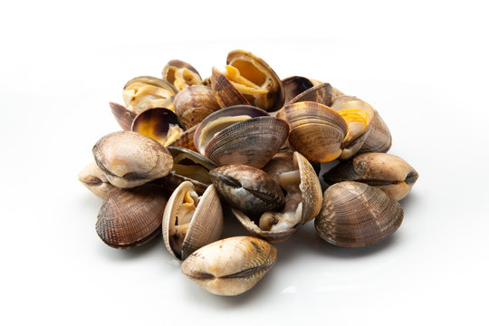 Almejas