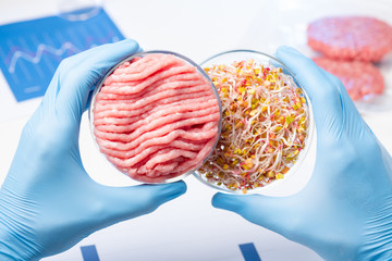 Meat in one Petri dish and plant sprouts on background. Plant based meat concept.