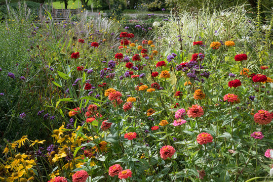 herbstliches Blumenbeet mit Zinnien, Westpark M&uuml;nchen