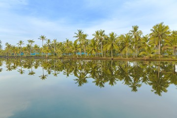 Munroe islands, Kollam, Kerala, India. Serenely tropical island with coconut trees and rivers. Clear reflections on Ashtamudi lake. Peaceful boating at sun rise. Kollam district. Blue skies