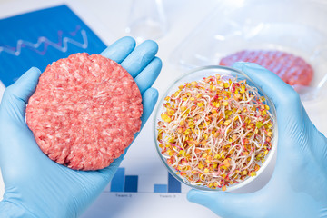 Burger putty in one hand and plant sprouts material in Petri dish. Laboratory vegetarian hamburger...