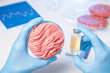 Meat in Petri dish and liquid chemical in bottle. Livestock ilness antibiotic treatment or cultured...