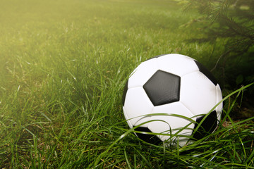 Soccer ball, grass (field), sneakers (sports shoes). Sport, competition, development, game, hobby.