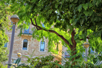 old house