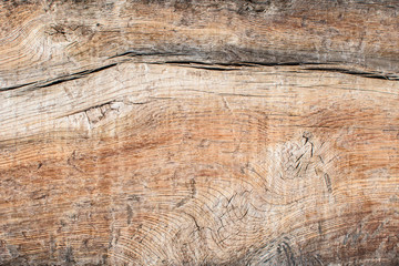 Old wood texture.