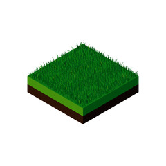 Isometric grass illustration