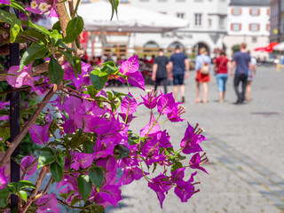 Altstadt Marktplatz von Rosenheim in Bayern
