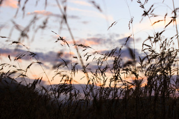 Obraz premium Карпаты, Украина, гори, путешествие