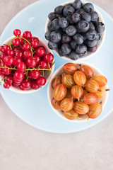 Fresh berries in white bowls on a blue plate and gray background. Blueberries, gooseberries and red currants. Top view.