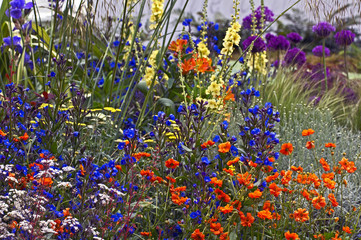 Fototapety  Szczegół kolorowej granicy z mieszanymi nasadzeniami w przydomowym ogrodzie