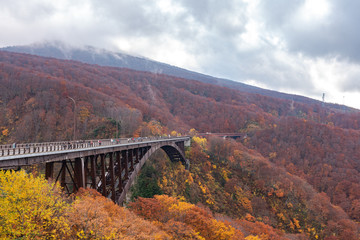 Jogakura Ohashi Bridge view during autumn foliage season. Colorful trees on mountains and valley with red, orange, and golden colors foliage. Towada hachimantai National Park, Aomori Prefecture, Japan