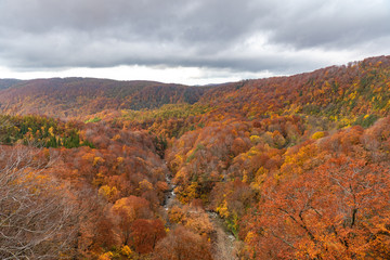 Autumn foliage scenery view, beautiful landscapes. Fall is full of magnificent colours. Entire mountain and valley is bathed in different hues of red, orange and golden colors background