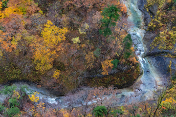 Autumn foliage scenery. Aerial view of valley and stream in fall season. Colorful forest trees background in red, orange, and golden colors