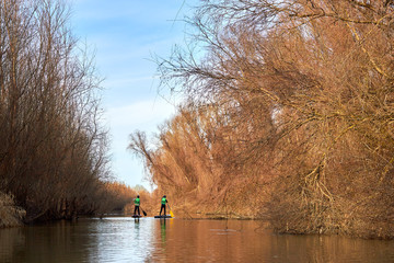 Fototapeta premium Two boys rowing on stand up paddle boarding (SUP) paddling along the calm autumn Danube river at sunset against a background of trees at the shore. The concept of children's sports and tourism.