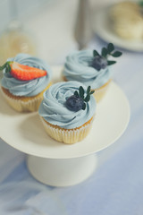 Home-made vanilla muffins with fresh berries on a stand. Zefir. A festive table. A sweet table.