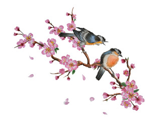 Watercolor traditional Chinese painting of flowers, cherry blossom and two birds on tree, isolated on white background. Can be used as romantic background for wedding invitations, greeting postcards, 