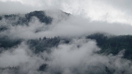 rainy day with fog in the forest on the mountains