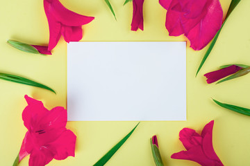 White card on a yellow background with gladiolus flowers