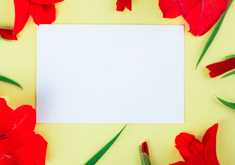 White card on a yellow background with gladiolus flowers