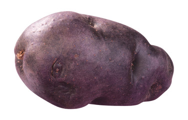 Kartoffel violett