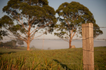 Barbed Wire Fence