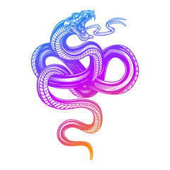 Obraz premium Snake in blurple gradient color. Vector hand drawn illustration of snake in engraving technique isolated on white background. Occult poster, t-shirt print, cover.