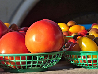 Fresh tomatoes at the framers market on Cherry Street in Tulsa Oklahoma. Morning in the summer.