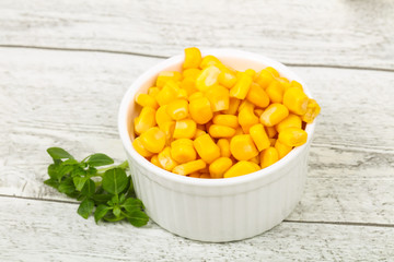 Young sweet corn