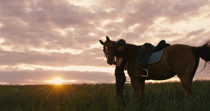 Attractive Caucasian female petting her horse on a field against beautiful sunset. Shot on RED Helium. 4K UHD RAW graded footage