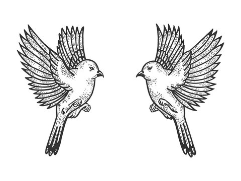 Sparrow birds tattoo sketch engraving vector illustration. Scratch board style imitation. Hand drawn image.