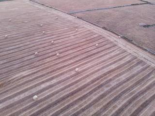Aerial view of a field full of wheat bales at sunrise