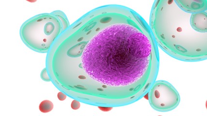 T Cells attacking Cancer Cells- 3D illustration