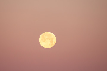 Full moon in the clear evening sky